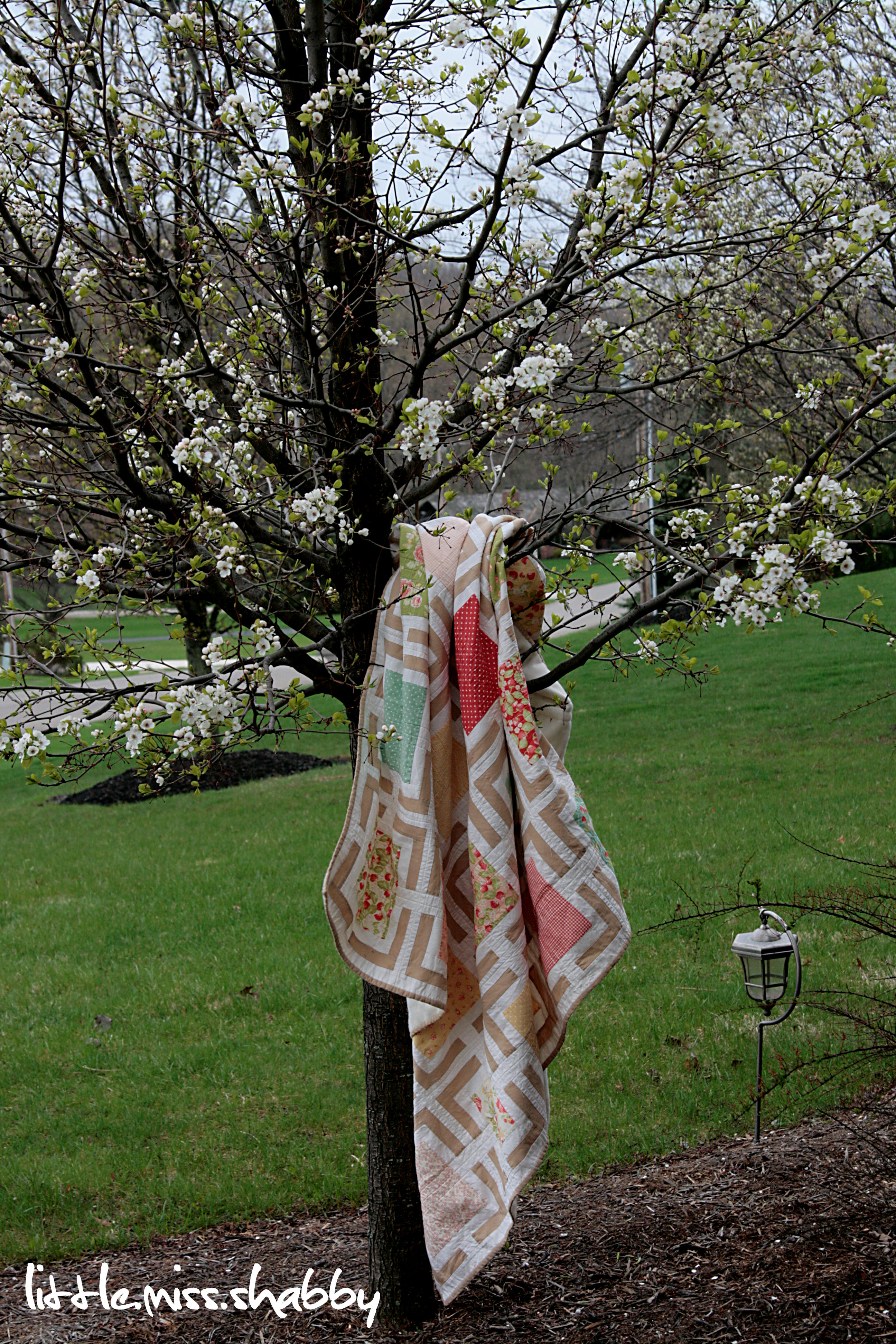 Framed in Quilt & Picture Frames Quilt Coriander Quilts